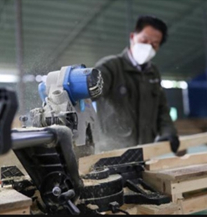 贵州胶合板生产加工